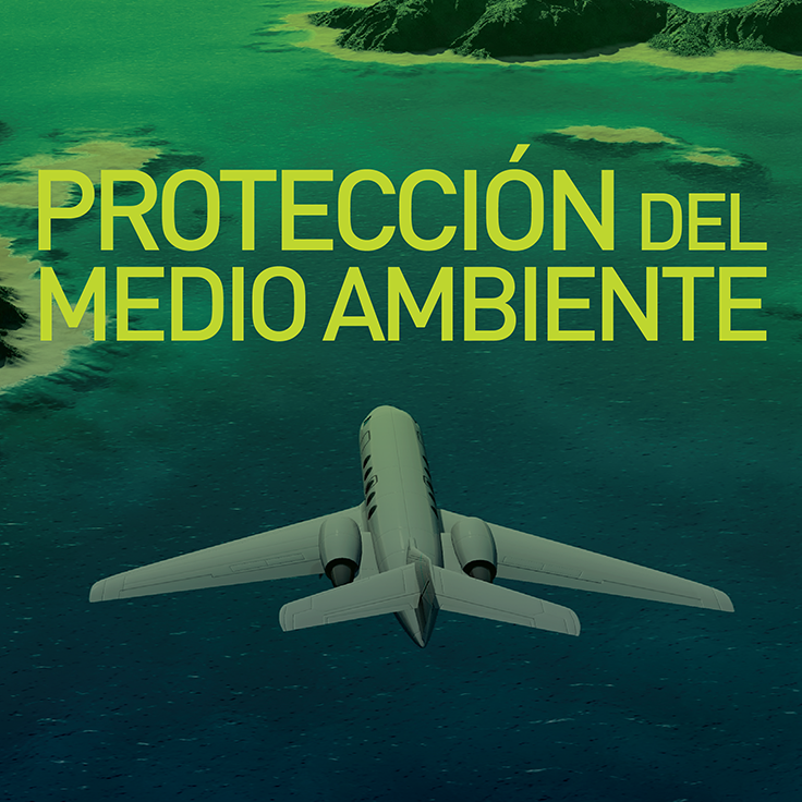 Access to Environmental Protection